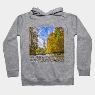 SCENERY 82 - Autumn Trees Clear Stream Water River Hoodie